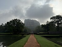 IMG_6774