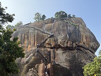 IMG_6786