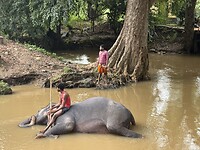 IMG_6825