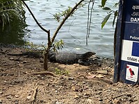 IMG_6849