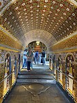 IMG_6854