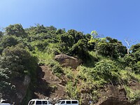 IMG_6885
