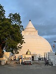 IMG_6890