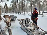 Reindeerslee