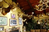 Whitebird summit lodge