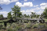 Craters of the moon NP