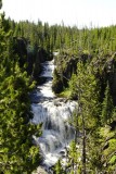 Yellowstone