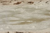 Yellowstone kolkende modder
