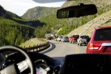 Yellowstone file door bizons