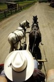 Hat Creek Ranch