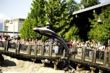 Vancouver Aquarium