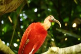 Vancouver Aquarium