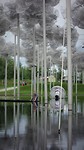 diamantwolken bij de vijver