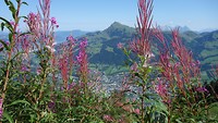 Vanuit de Hahnenkam