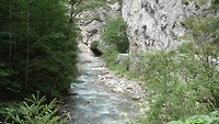 DSC08464