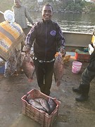 Samaki kubwa (grote vissen)