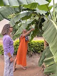 Jiska showt haar bananenboom