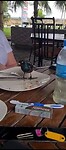 Gast aan tafel