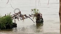 Kingfishers aan het ontbijt