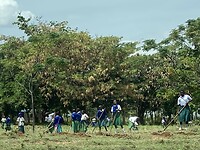 Schoolklas aan het werk op de shamba