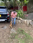 Erik z’n honden begroeten Paco enthousiast