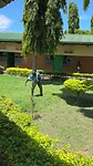 Gras maaien, Tanzania-stijl