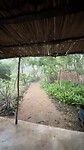 Echte regen