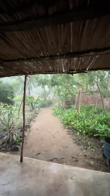 Echte regen