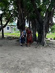 Samen onder de boom met luchtwortels