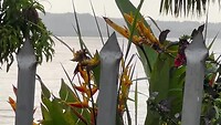 Natuur dichtbij