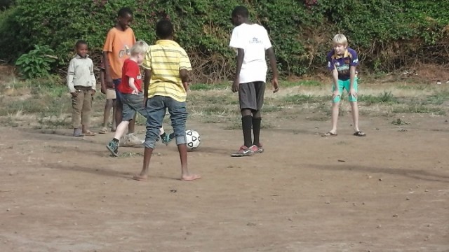 Tom aan de bal