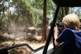 15:10-08 Bert schiet olifant