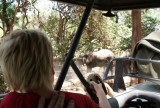 15:10-09 Olifant ok, maar snuffie moet mee