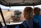 16:10 07 Leeuwen vlak voor de jeep!