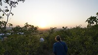 Wandelen door de bush