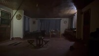 Vleermuis in de slaapkamer