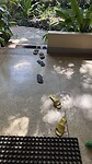 Stilleven van slippers voor de deur