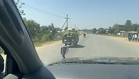 Kokosnotentransport