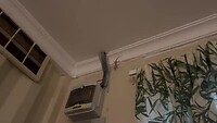 Gekko aan t plafond