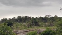 Zingend meisje op de berg