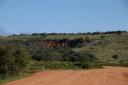 Onderweg naar Kuilfontein1