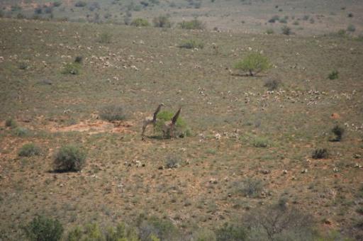 Onderweg naar Kuilfontein4