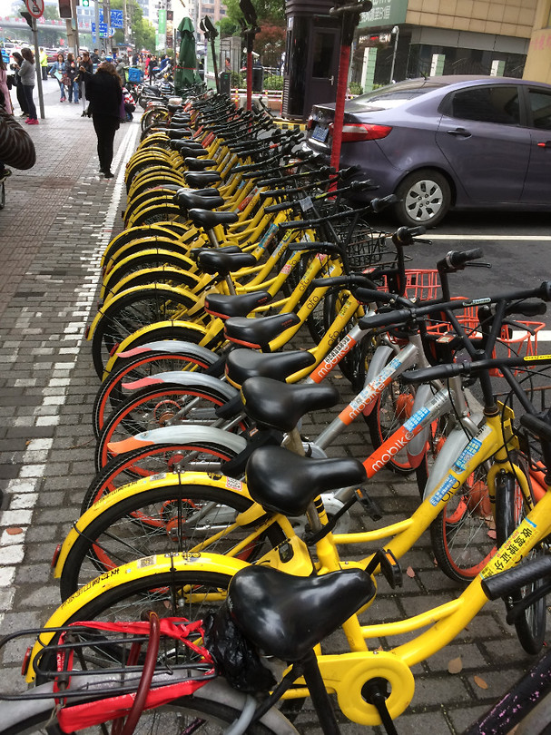 De huurfietsen