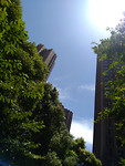 In het park
