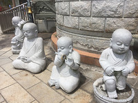 Boeddha's