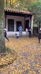 Zo Chinees…… hilarious!!!!!!!