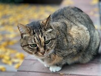 Ik probeer mijn portret foto setting uit op mijn telefoon……. Geslaagd!!!