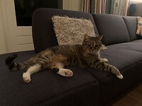 Ook Guusje al snel op haar gemak.