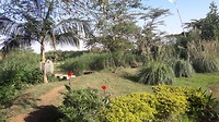 Yellow haven in Kampala