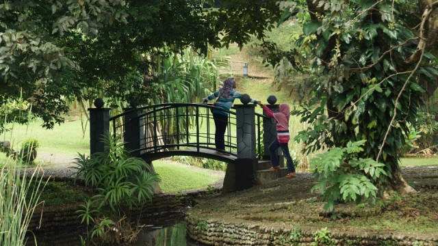 Parkbruggetje